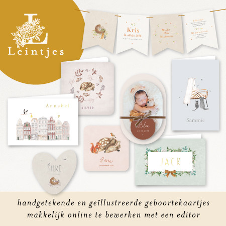 Bekijk alle geboortekaartjes van Leintjes