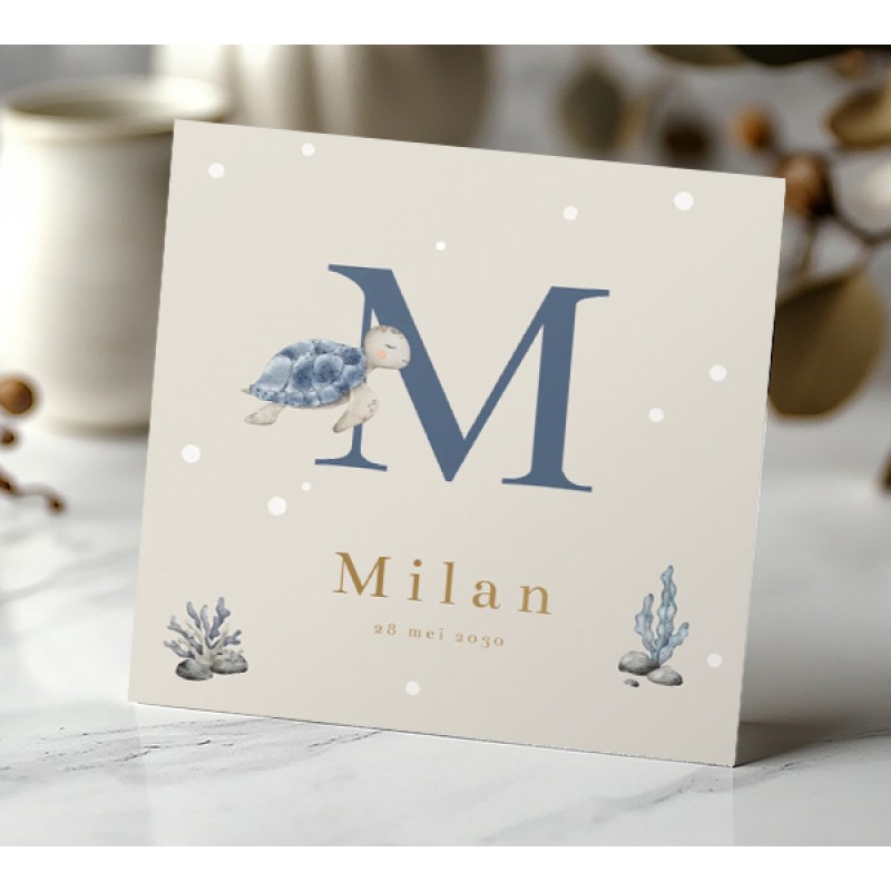 Geboortekaartje Blauwe schildpad 