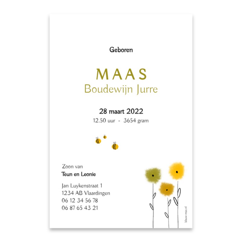 Geboortekaartje Bloemen en bijtjes