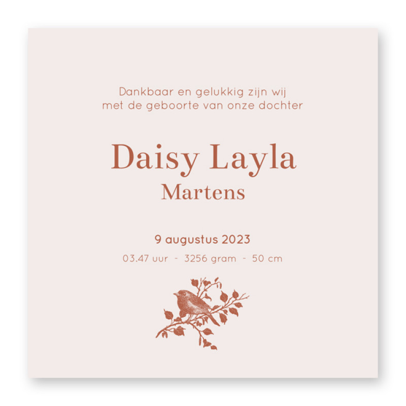 Geboortekaartje Daisy