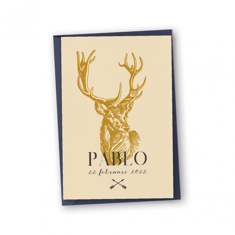 Geboortekaartje Echt karton Pablo Geboortekaartje Echt karton Pablo