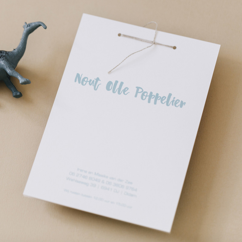 Geboortekaartje Fotokaart met Kalkpapier Geboortekaartje Fotokaart met Kalkpapier