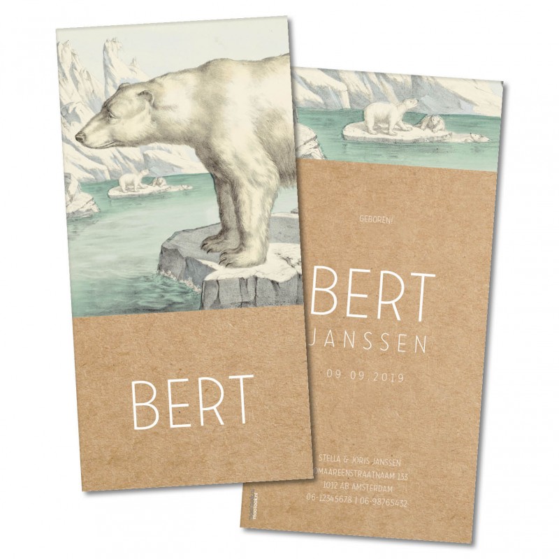 Geboortekaartje Geboortekaart - Bert Geboortekaartje Geboortekaart - Bert