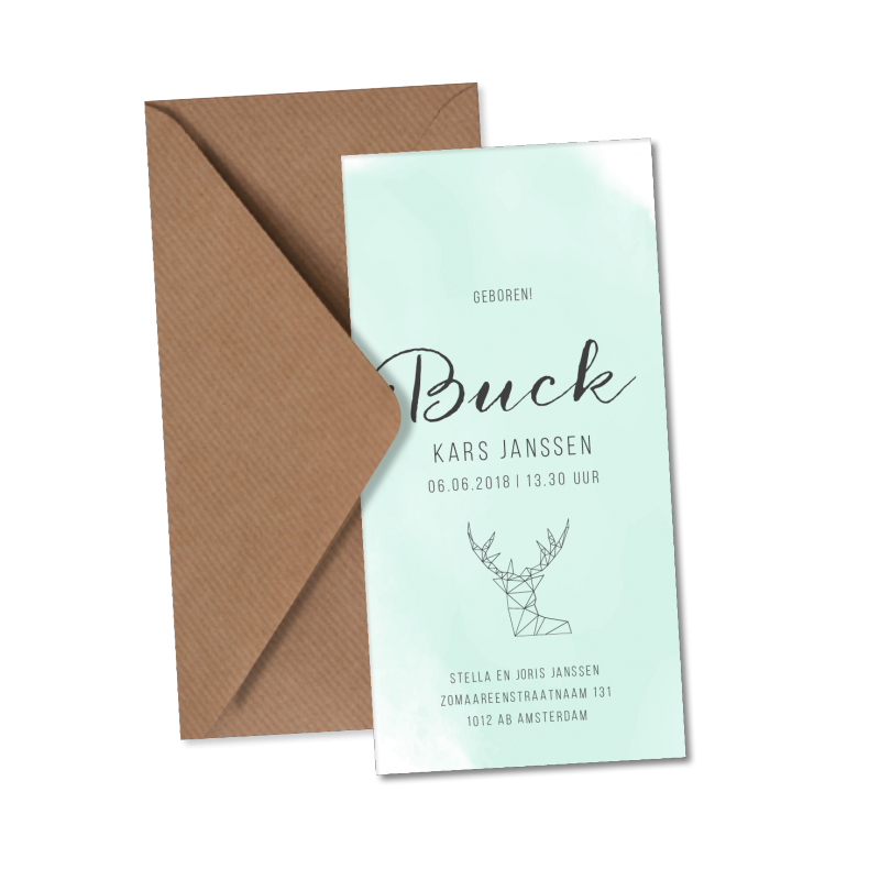 Geboortekaartje Geboortekaart - Buck