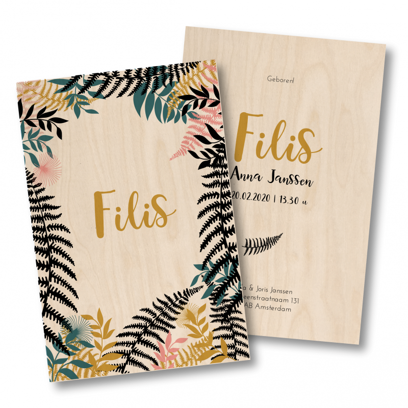 Geboortekaartje Geboortekaart Filis Hout Geboortekaartje Geboortekaart Filis Hout