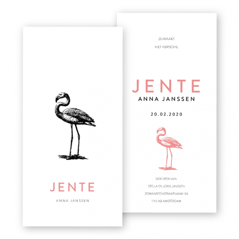 Geboortekaartje Geboortekaart Jente Geboortekaartje Geboortekaart Jente