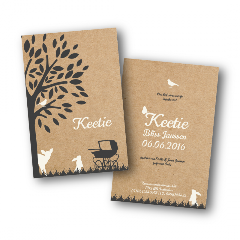 Geboortekaartje geboortekaart - Keetie Geboortekaartje geboortekaart - Keetie