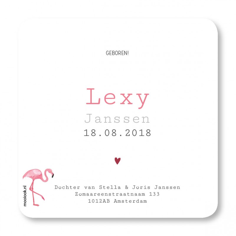 Geboortekaartje Geboortekaart Lexy Geboortekaartje Geboortekaart Lexy