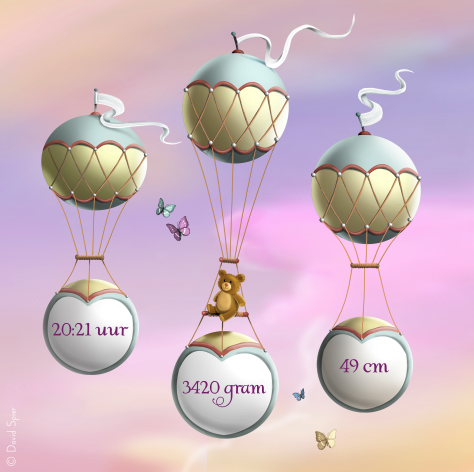 Geboortekaartje Geboortekaart luchtballon