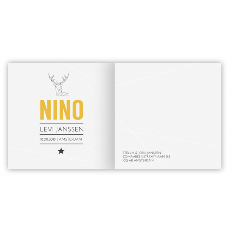 Geboortekaartje Geboortekaart - Nino Geboortekaartje Geboortekaart - Nino