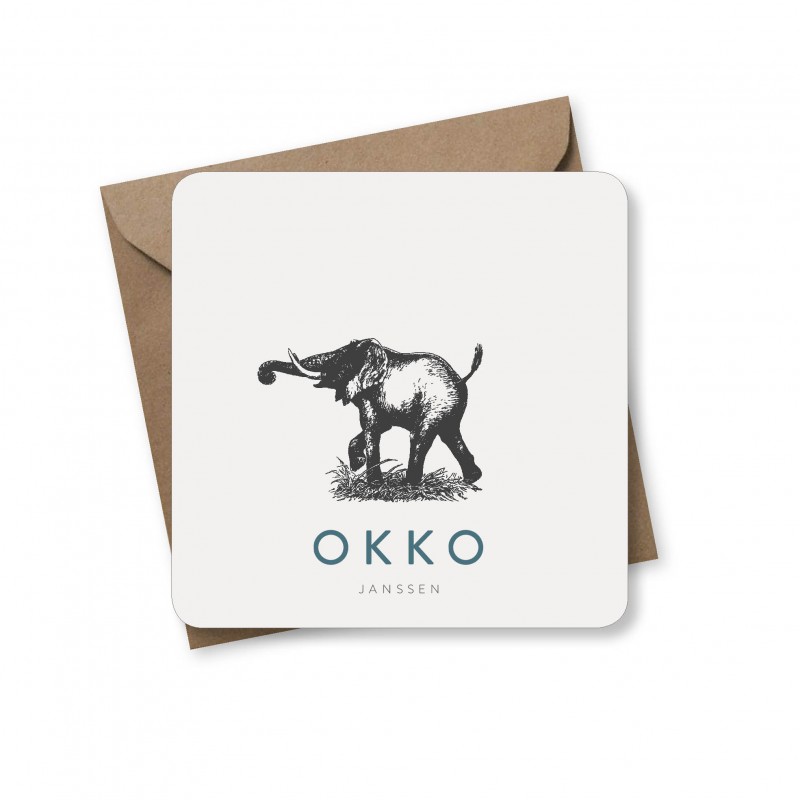 Geboortekaartje Geboortekaart Okko Geboortekaartje Geboortekaart Okko