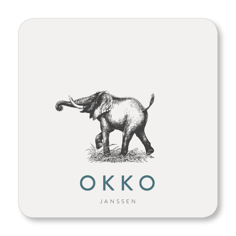 Geboortekaartje Geboortekaart Okko Geboortekaartje Geboortekaart Okko