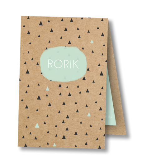 Geboortekaartje Geboortekaart - Rorik Geboortekaartje Geboortekaart - Rorik