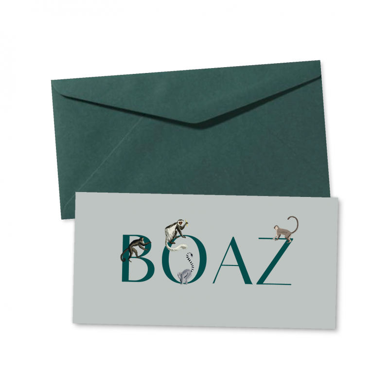 Geboortekaartje geboortekaartje Boaz Geboortekaartje geboortekaartje Boaz