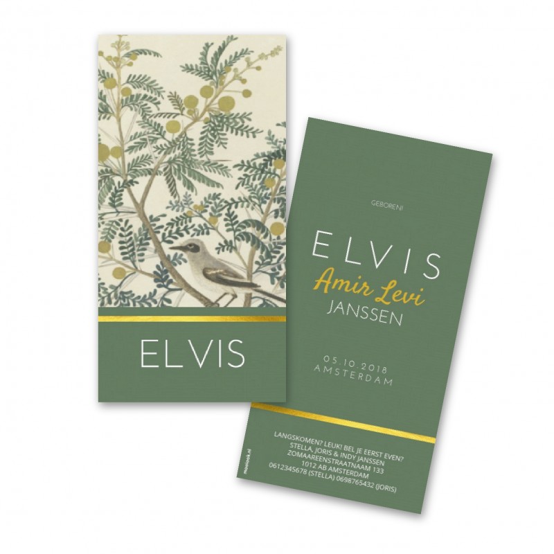 Geboortekaartje geboortekaartje - Elvis Geboortekaartje geboortekaartje - Elvis