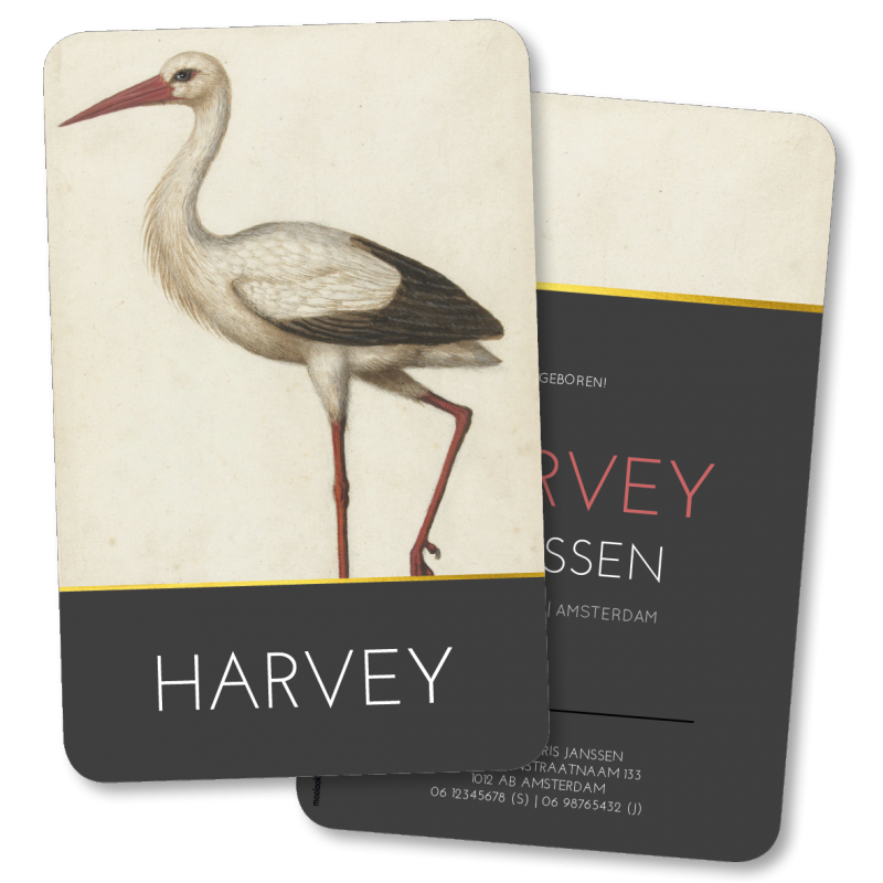 Geboortekaartje Geboortekaartje Harvey Geboortekaartje Geboortekaartje Harvey