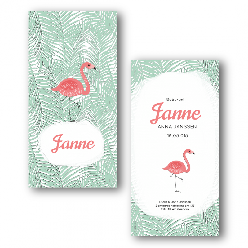Geboortekaartje Geboortekaartje Janne Geboortekaartje Geboortekaartje Janne