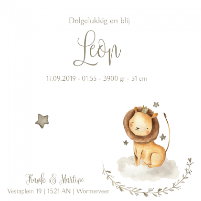 Geboortekaartje Geboortekaartje Leeuw Geboortekaartje Geboortekaartje Leeuw