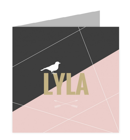Geboortekaartje geboortekaartje - Lyla Geboortekaartje geboortekaartje - Lyla