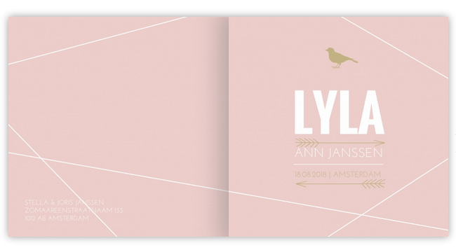 Geboortekaartje geboortekaartje - Lyla Geboortekaartje geboortekaartje - Lyla