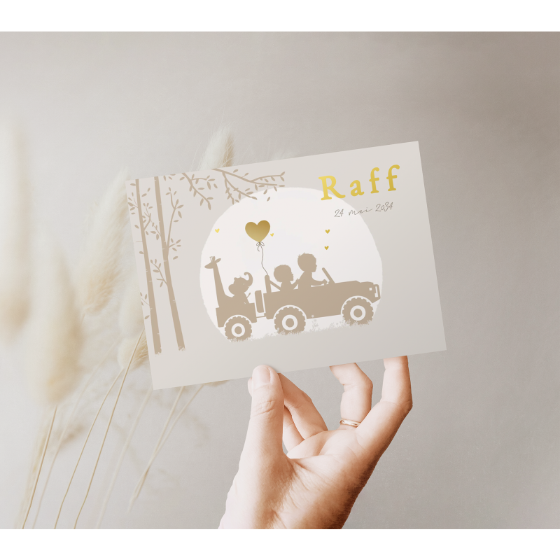 Geboortekaartje Geboortekaartje meisje ach