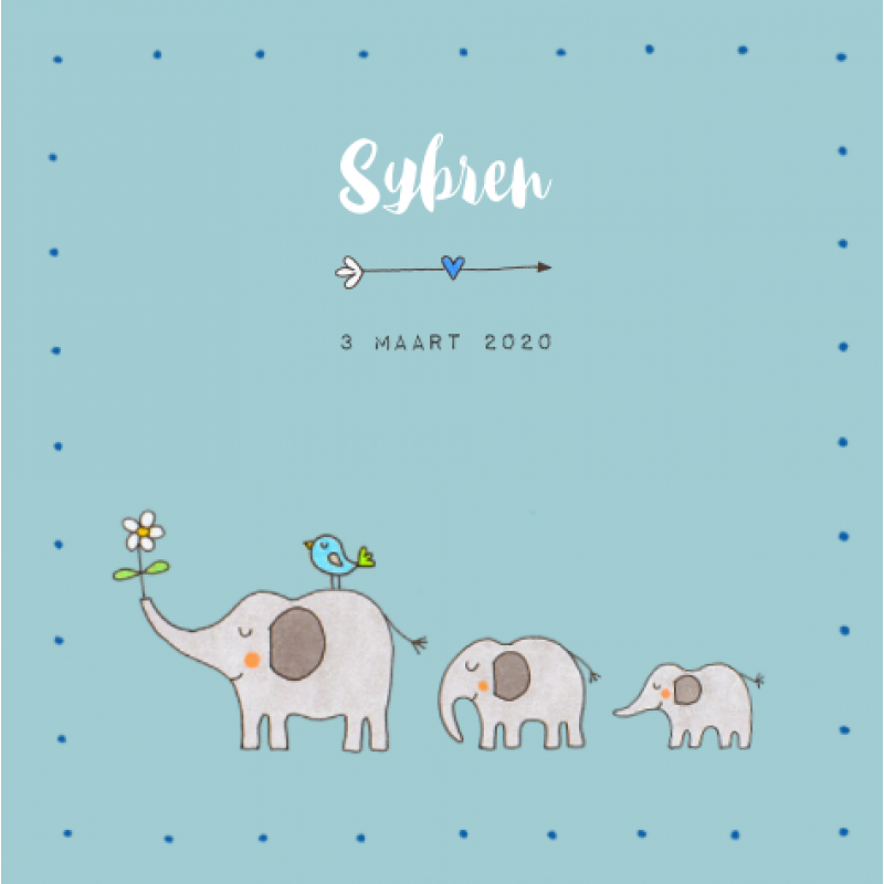 Geboortekaartje Geboortekaartje Olifanten