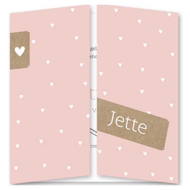 Geboortekaartje Geboortekaartje tweeluik Geboortekaartje Geboortekaartje tweeluik