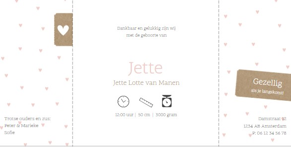 Geboortekaartje Geboortekaartje tweeluik Geboortekaartje Geboortekaartje tweeluik