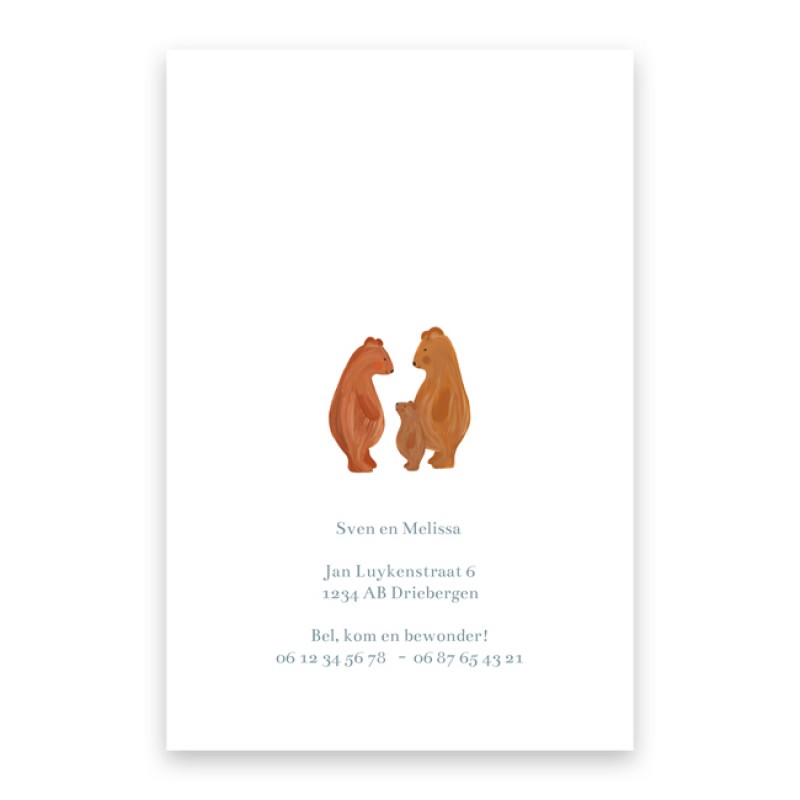 Geboortekaartje Getekende berenfamilie