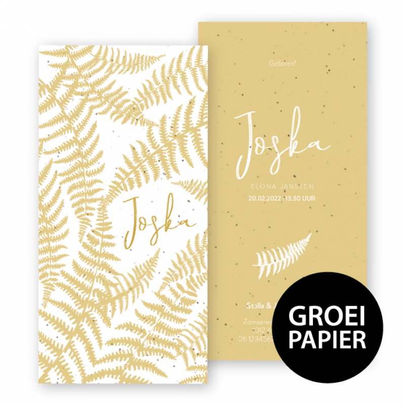 Geboortekaartje Groeipapier Joska Geboortekaartje Groeipapier Joska