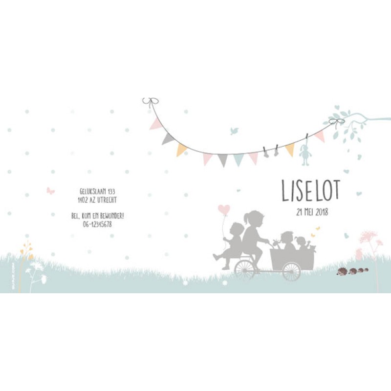 Geboortekaartje Gupje Liselot