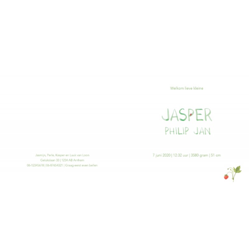 Geboortekaartje Gupje Jasper