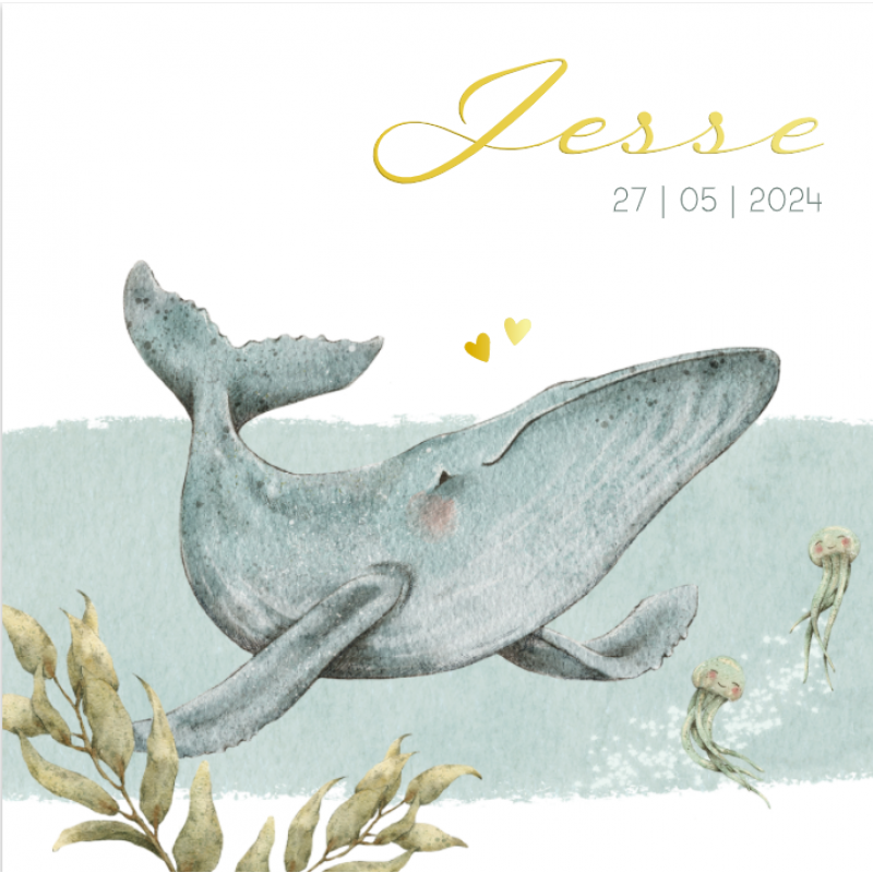 Geboortekaartje Handgetekende walvis