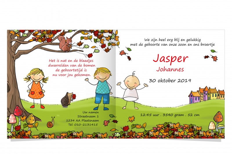 Geboortekaartje Herfst broer zus en baby