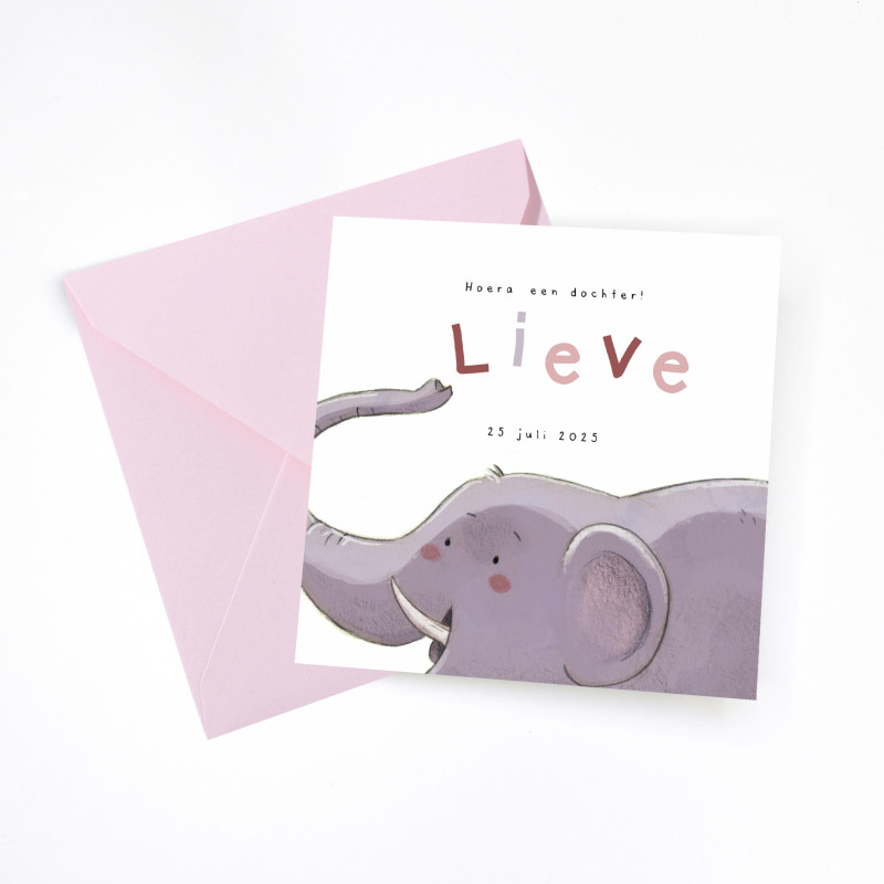 Geboortekaartje Illustratie olifant Geboortekaartje Illustratie olifant