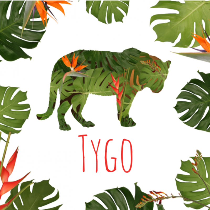 Geboortekaartje Jungle tijger Geboortekaartje Jungle tijger
