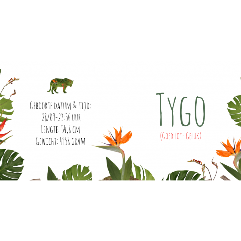 Geboortekaartje Jungle tijger Geboortekaartje Jungle tijger