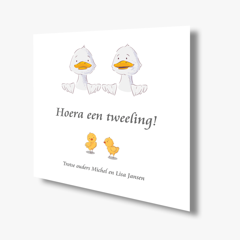 Geboortekaartje Kaart tweeling eendjes Geboortekaartje Kaart tweeling eendjes
