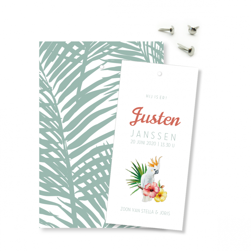 Geboortekaartje Klembord - Justen Geboortekaartje Klembord - Justen