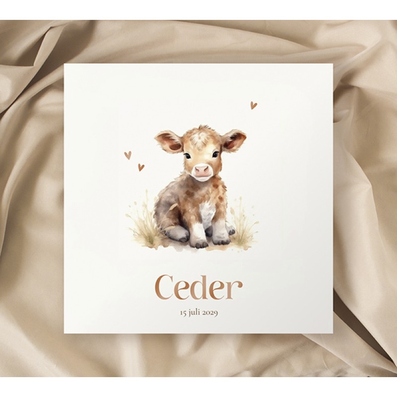 Geboortekaartje Koe