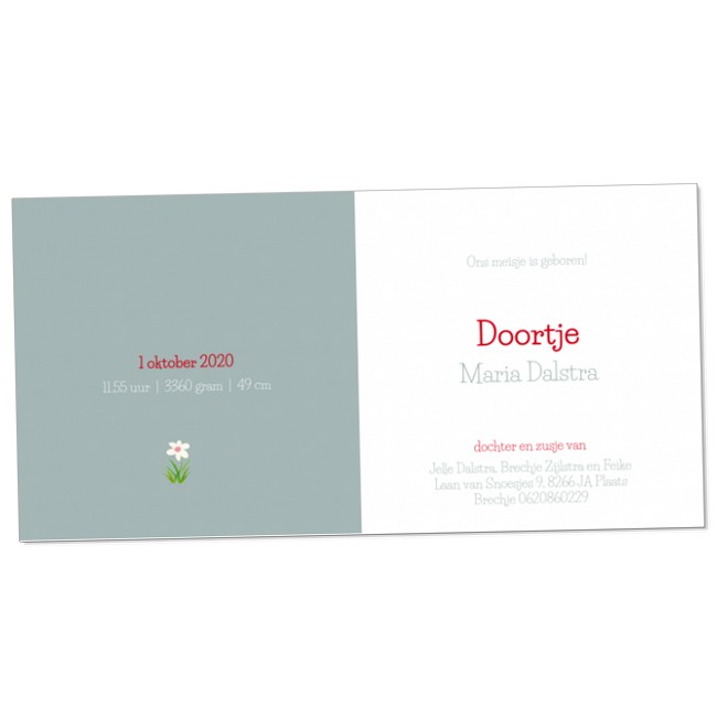 Geboortekaartje Meisje in rood jurkje Geboortekaartje Meisje in rood jurkje