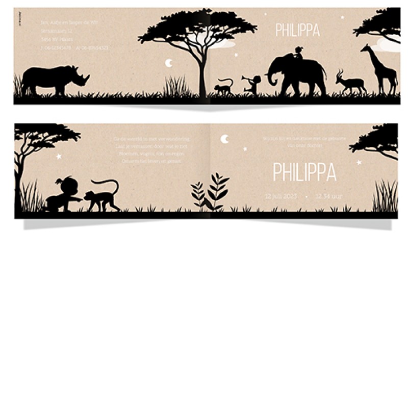 Geboortekaartje meisje op olifant Geboortekaartje meisje op olifant