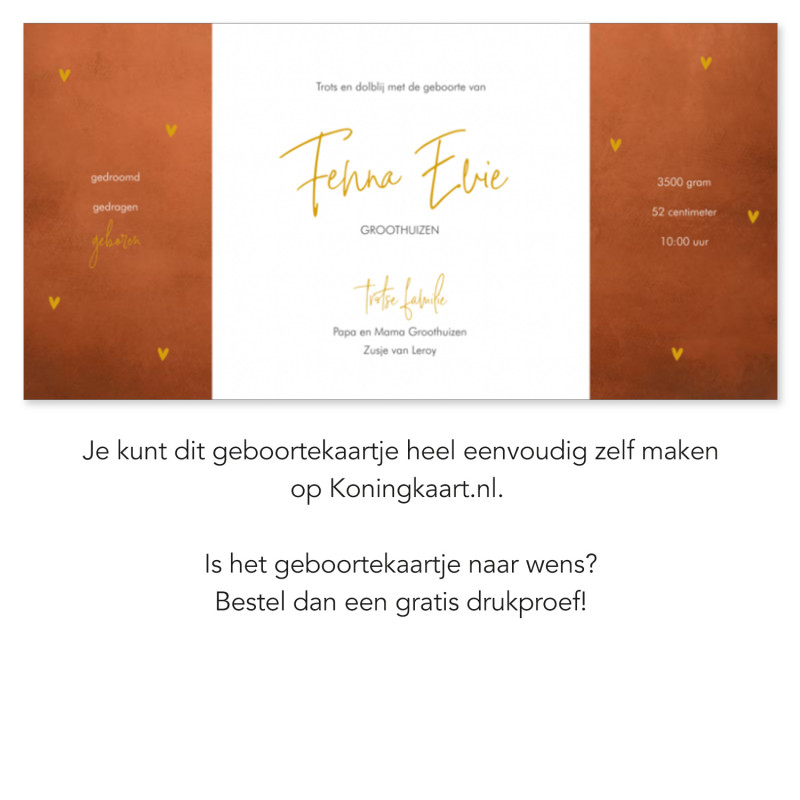 Geboortekaartje Oranje geboortekaartje Geboortekaartje Oranje geboortekaartje