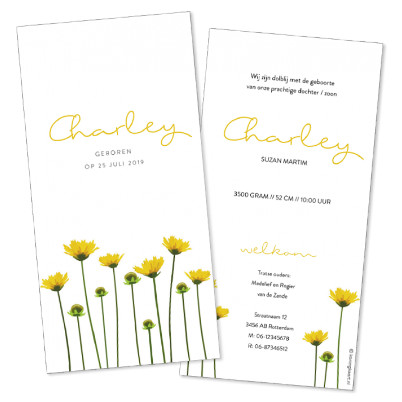 Geboortekaartje Paardebloemen Geboortekaartje Paardebloemen