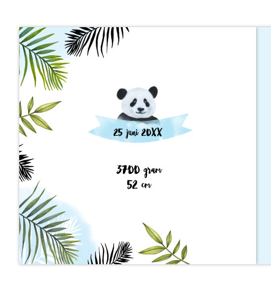 Geboortekaartje Panda Geboortekaartje