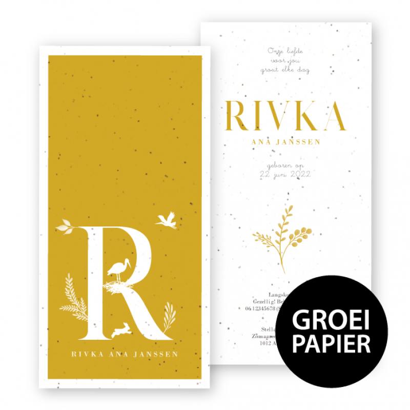 Geboortekaartje Rivka Geboortekaartje Rivka