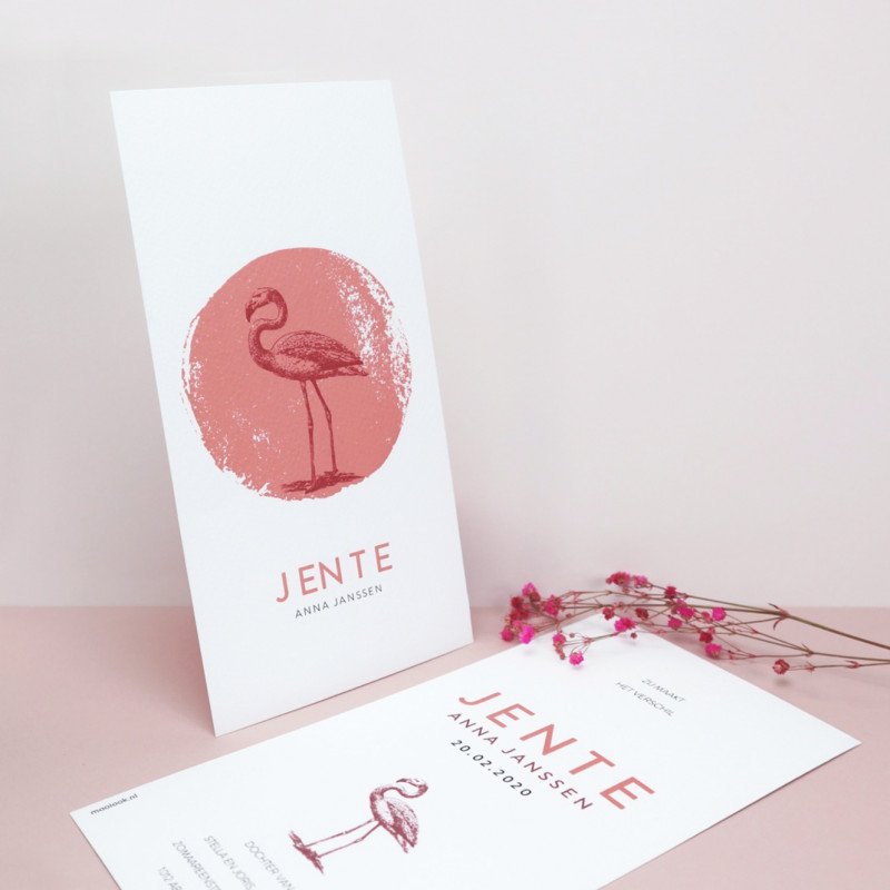 Geboortekaartje Roze met flamingo Geboortekaartje Roze met flamingo
