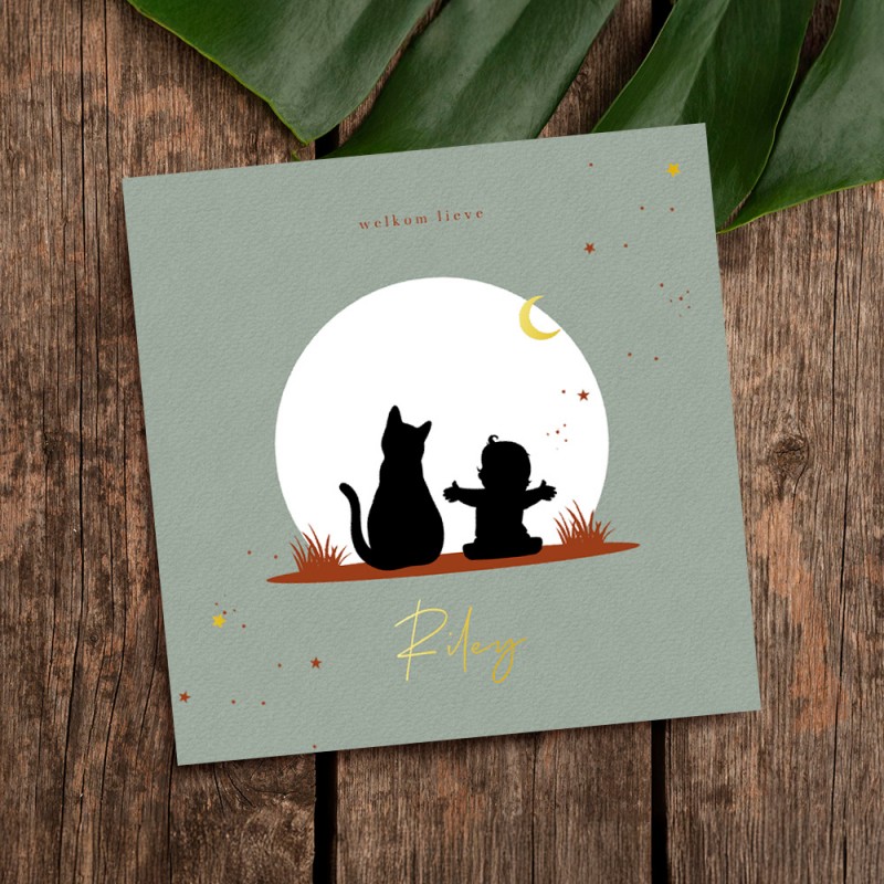 Geboortekaartje Silhouet baby en kat