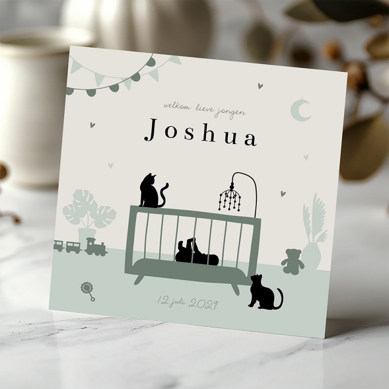 Geboortekaartje Silhouet baby in wieg
