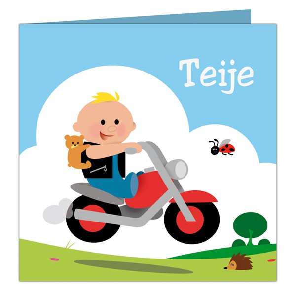 Geboortekaartje Teije